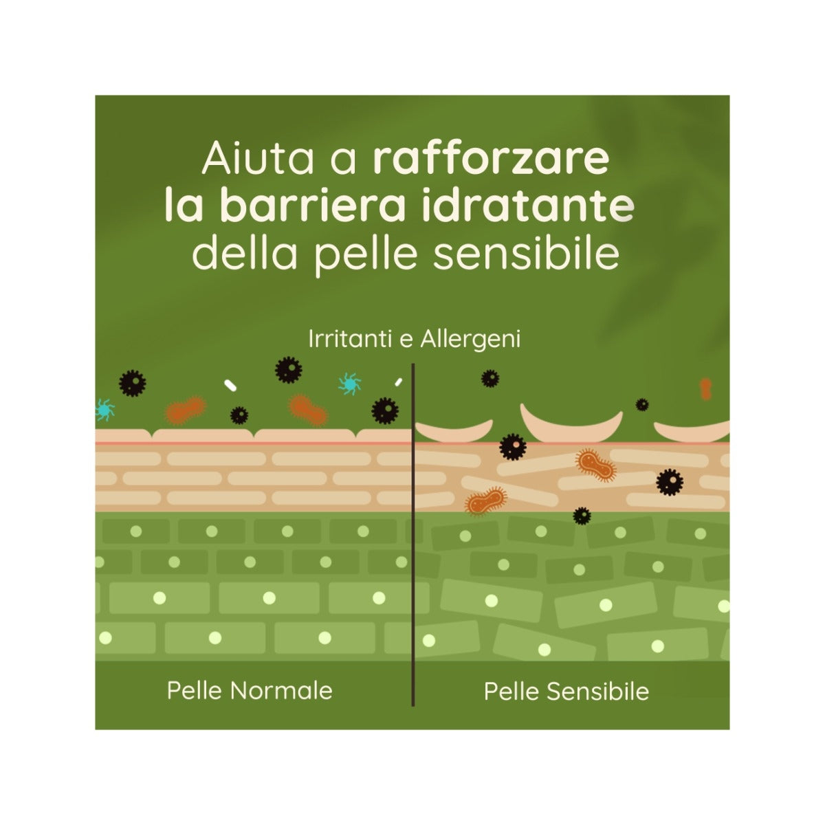 Aveeno Daily Moisturising Bagno Doccia profumo delicato 300ml-12