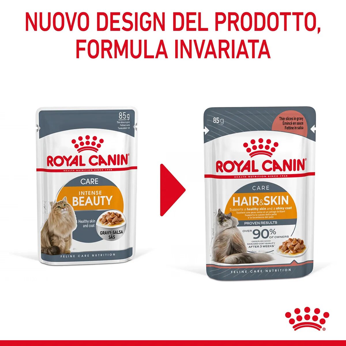 Royal Canin Hair & Skin in Salsa Alimento Umido Per Gatti Adulti Bustina 85g-8