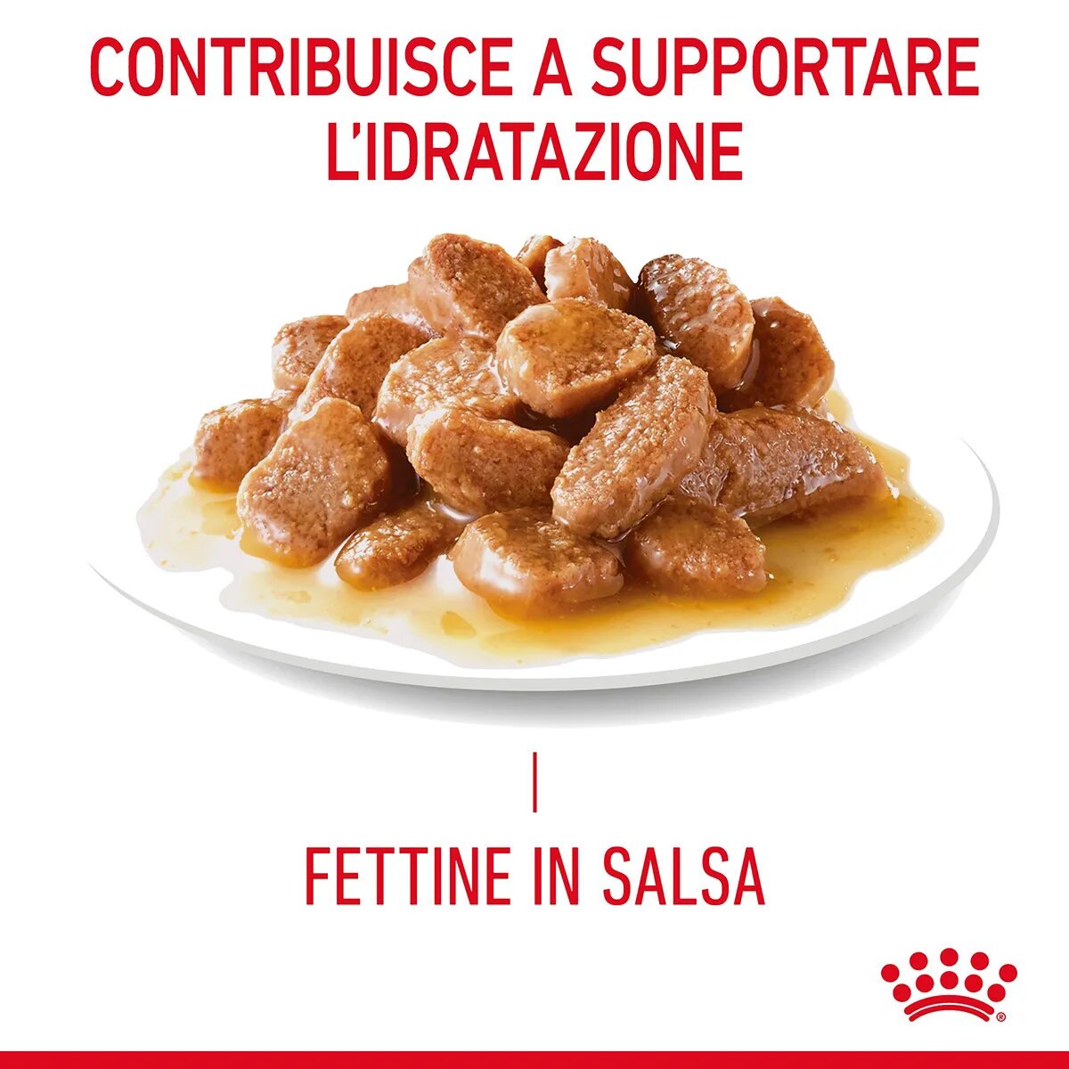 Royal Canin Hair & Skin in Salsa Alimento Umido Per Gatti Adulti Bustina 85g-10