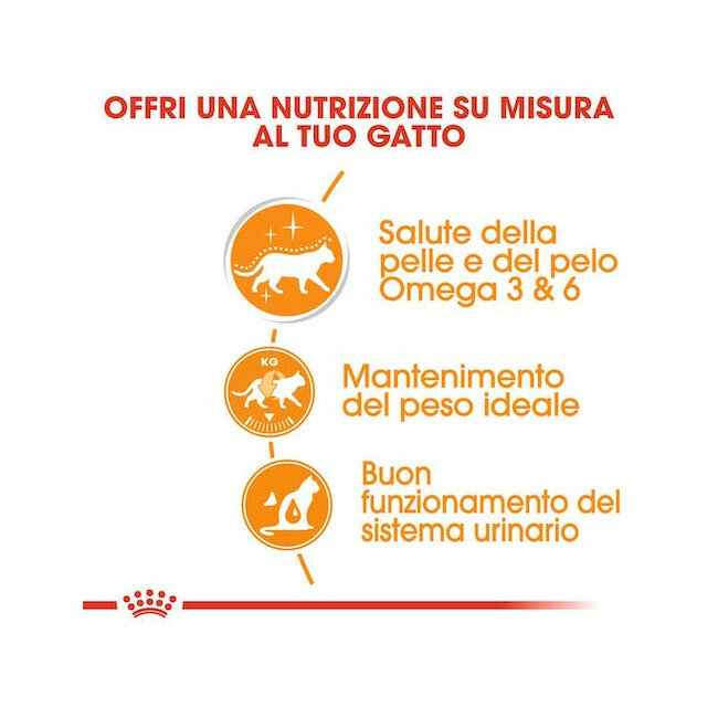 Royal Canin Hair & Skin in Salsa Alimento Umido Per Gatti Adulti Bustina 85g-5