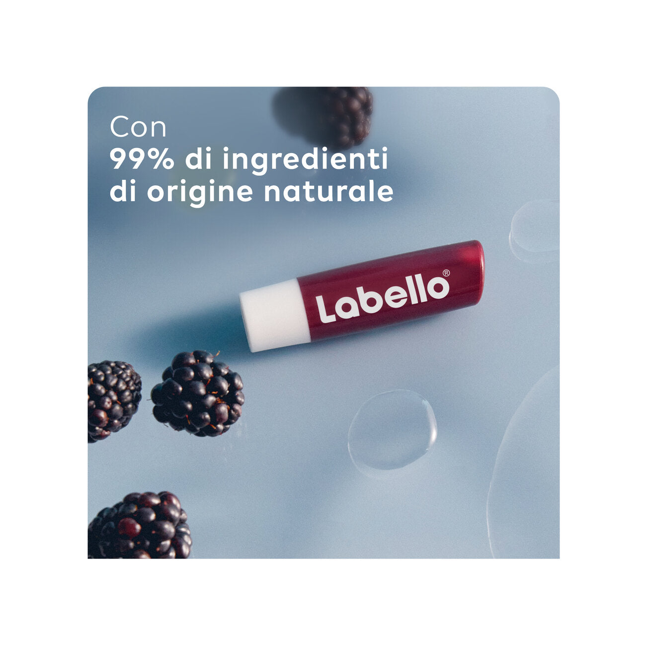 Labello Blackberry Shine Burrocacao Labbra Colorato E Idratante All'aroma Di Mora 4,8g-3