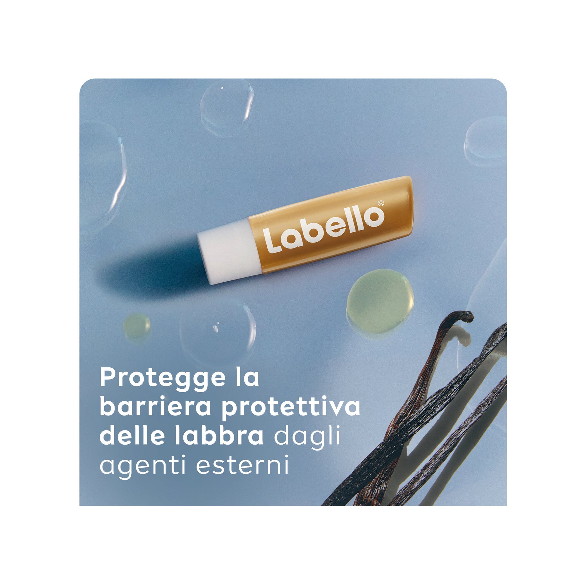 Labello Vanilla Buttercream Burrocacao Labbra Idratante Con Profumazione Alla Vaniglia 4,8g-3