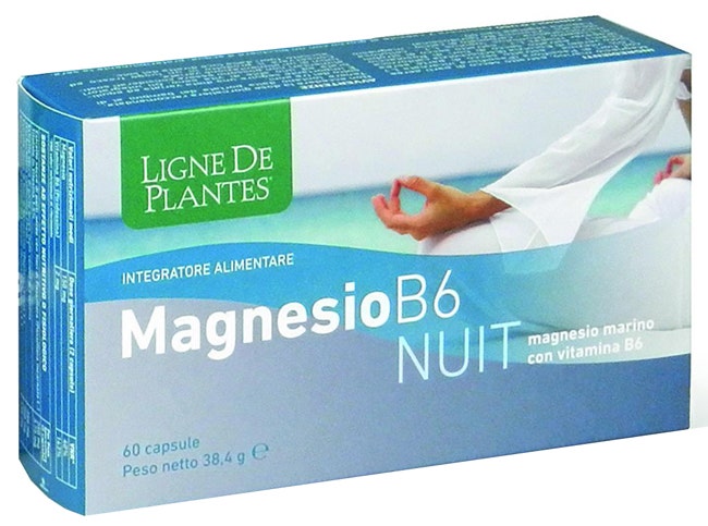 MAGNESIO B6 NUIT 60CPS-1
