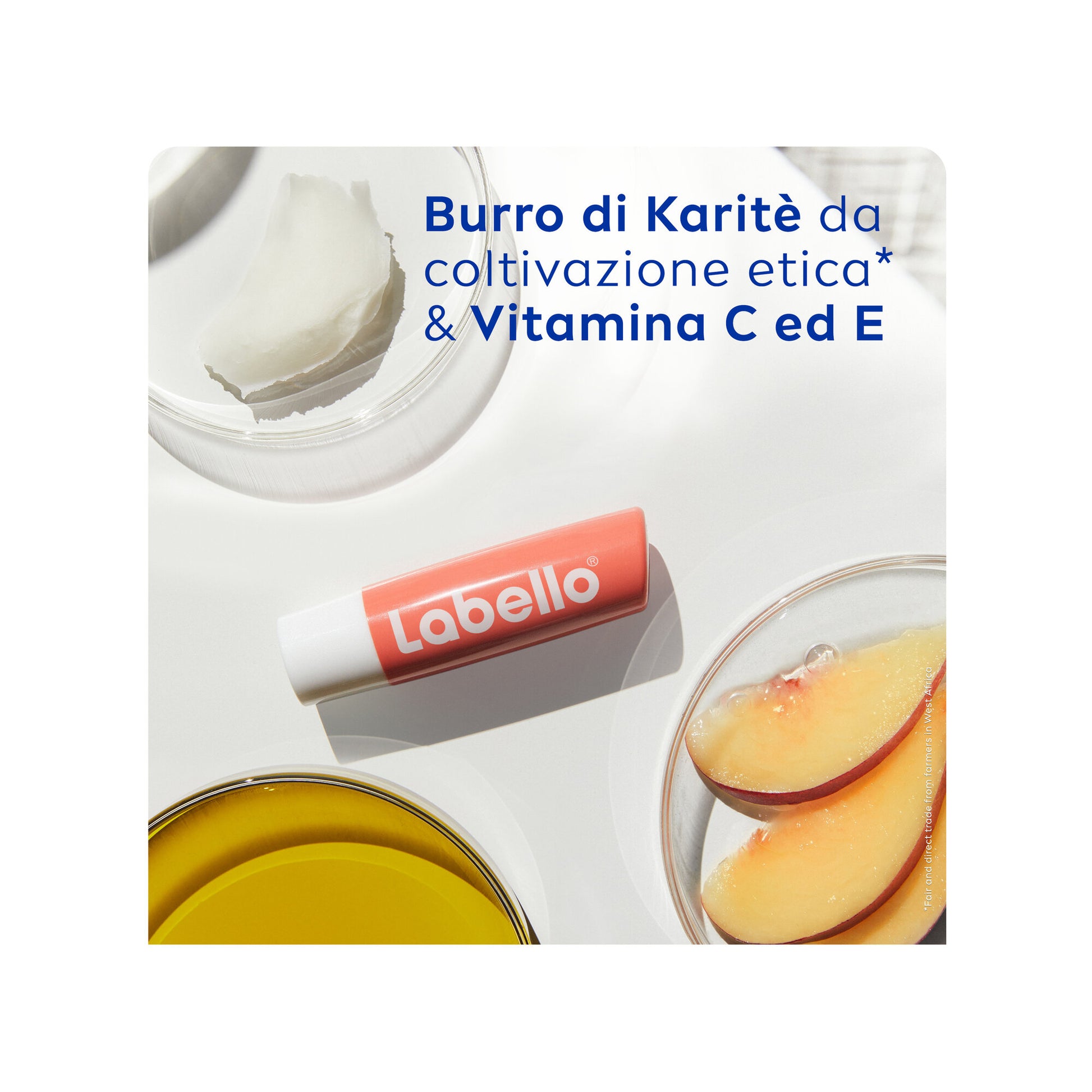 Labello Peach Shine Burrocacao Labbra Colorato E Idratante All'aroma Di Pesca 4,8g-4