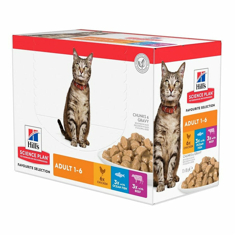 Hill's Science Plan Multipack Umido Gatto Adult 12x85g-2