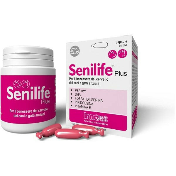 Innovet Senilife Plus per il benessere del cervello dei cani e gatti anziani 60 capsule-2