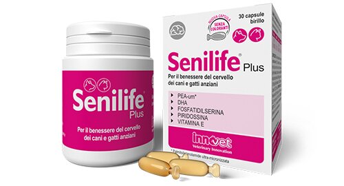 Innovet Senilife Plus per il benessere del cervello dei cani e gatti anziani 60 capsule-1