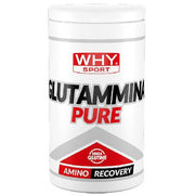 Why Sport Glutammina Pure 500g-1