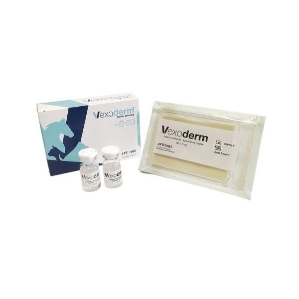 VEXODERM STER DRESSING 10X7CM-1