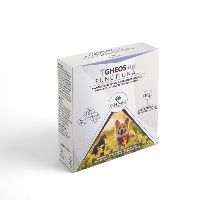 TGHEOS UP FUNCTIONAL 30BUST-1