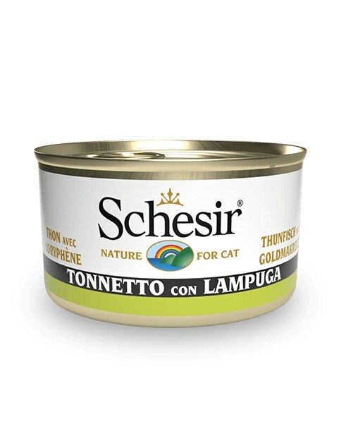 SCHESIR CAT TON LAMPUGA 85G-1