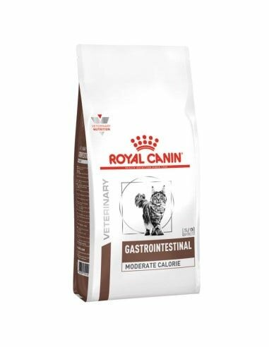 VHN CAT GASTROINTESTINAL M400G-1
