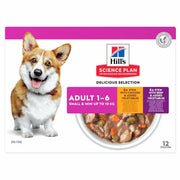 SP CANINE AD CHIC&SAL S&MIN12P-1