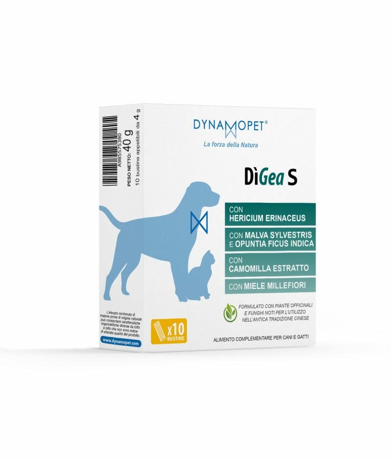 DIGEA S 10BUST-1