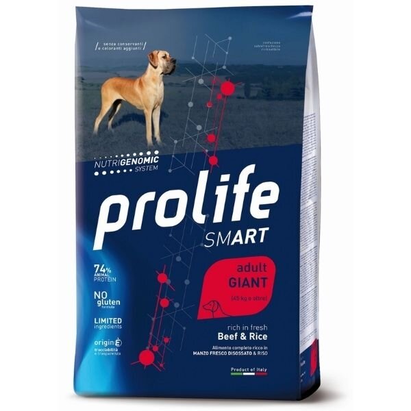 PROLIFE DOG SMART AD BEEF GIAN-1
