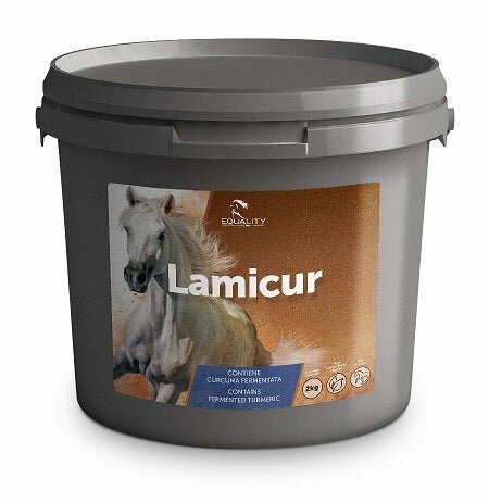 LAMICUR 2000G-2