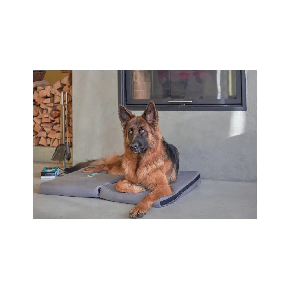 Kora Kit Base Magnetoterapia Cani/Gatti-6