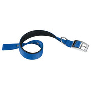 Ferplast Daytona C Collare In Nylon Con Soffice Imbottitura Blu Per Cani C30/55-1