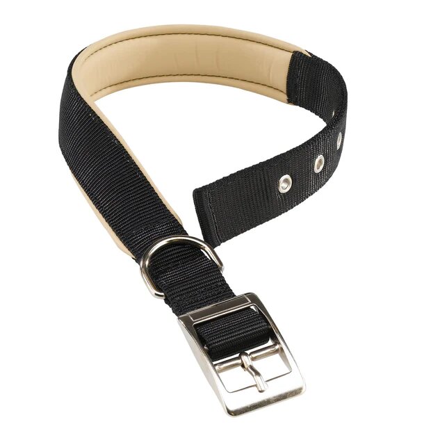Ferplast Daytona C Collare In Nylon Con Soffice Imbottitura Nero Per Cani C25/53-1