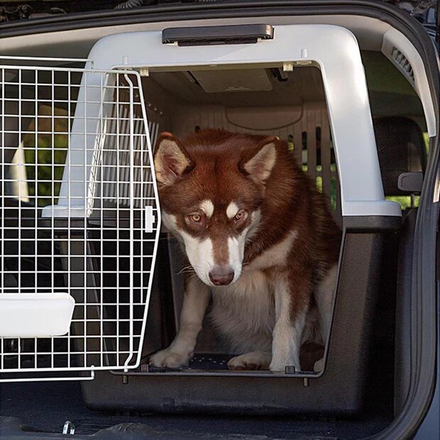 Ferplast Atlas 60 Trasportino-5