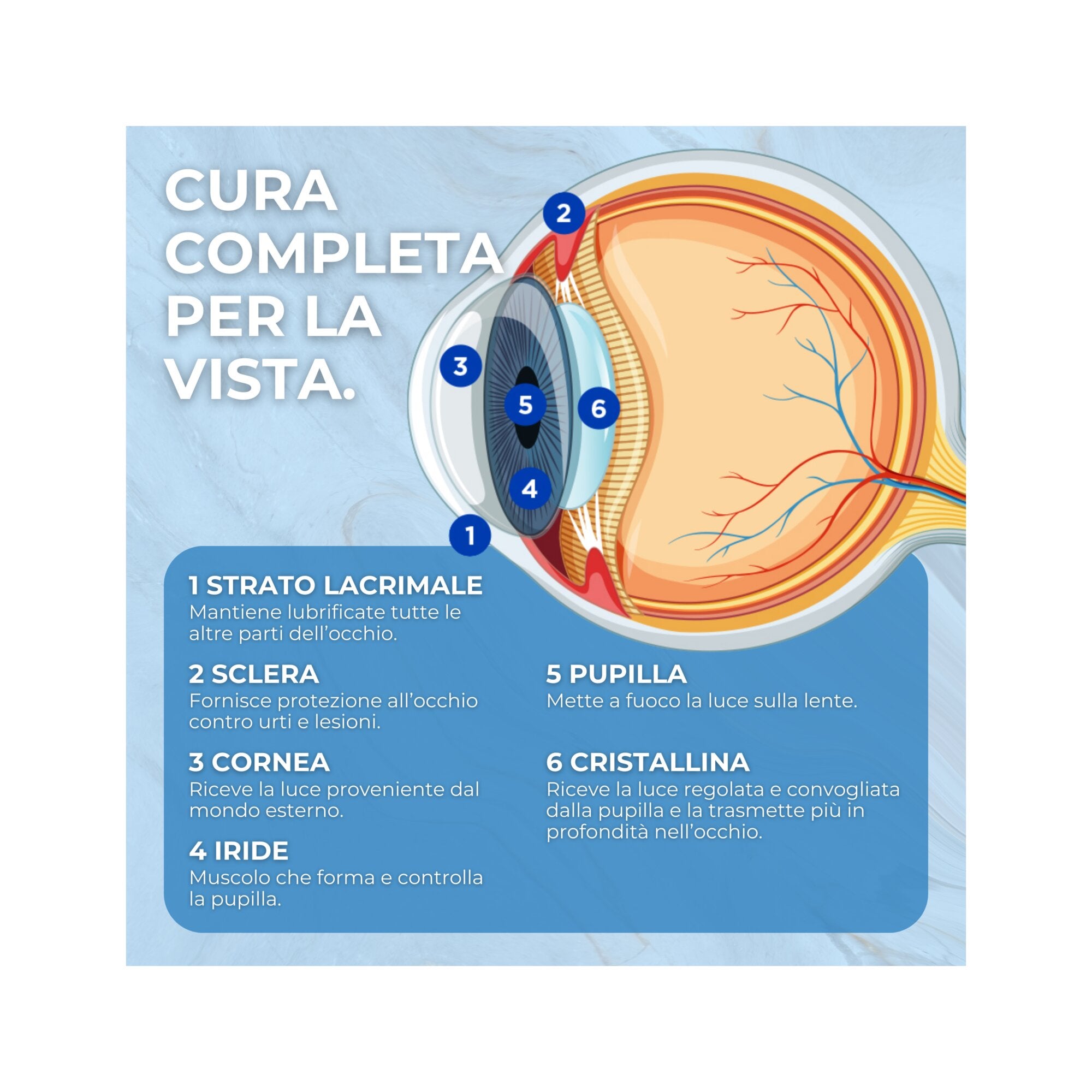 Natugea VisionUp Luteina e Zeaxantina 60 Compresse-6