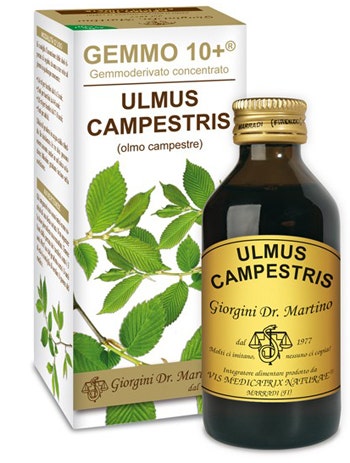 OLMO CAMP 100ML ANALCO GEMM10+-1