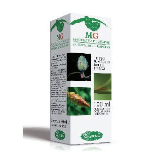 CARPINO 100ML MG-1