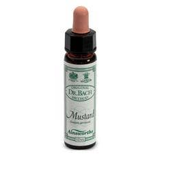 AINSWORTHS MUSTARD 10ML-1
