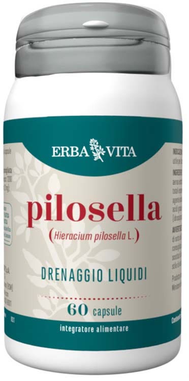Pilosella 60 Capsule-1