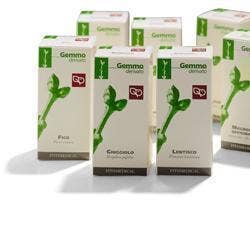 MIRTO 200ML MG-1
