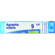 Boiron Agraphis Nutans 09Ch Tubo 80 Granuli 4g-1