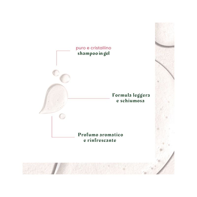 Rene Furterer Neopur Shampoo Antiforfora Grassa Equilibrante 150ml-4