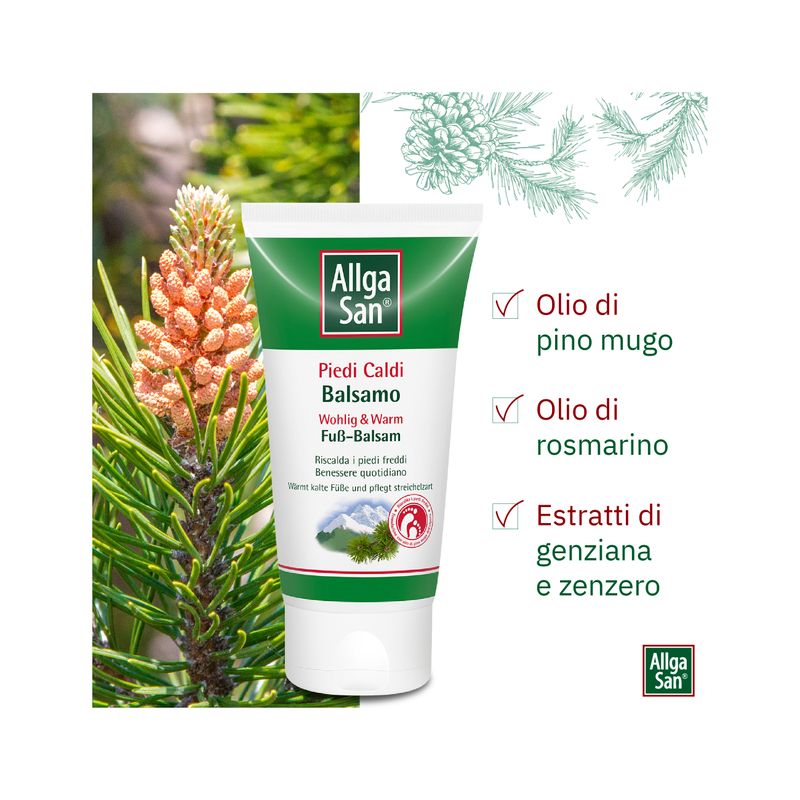 Dr. Theiss Allga San Balsamo Piedi Caldi 75ml-3
