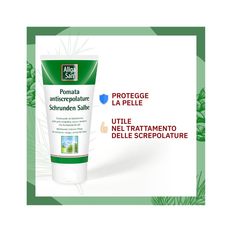 Dr. Theiss Allga San Pomata anti-screpolature 90 ml-4