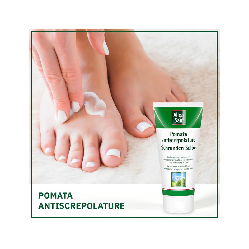 Dr. Theiss Allga San Pomata anti-screpolature 90 ml-5