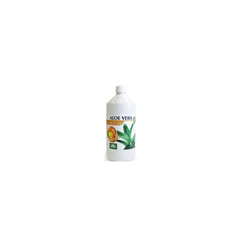 Alta Natura Aloe Vera succo gusto ACE 1L-1
