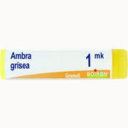 Boiron Ambra Grisea Globuli 1Mk Dose 1g-1