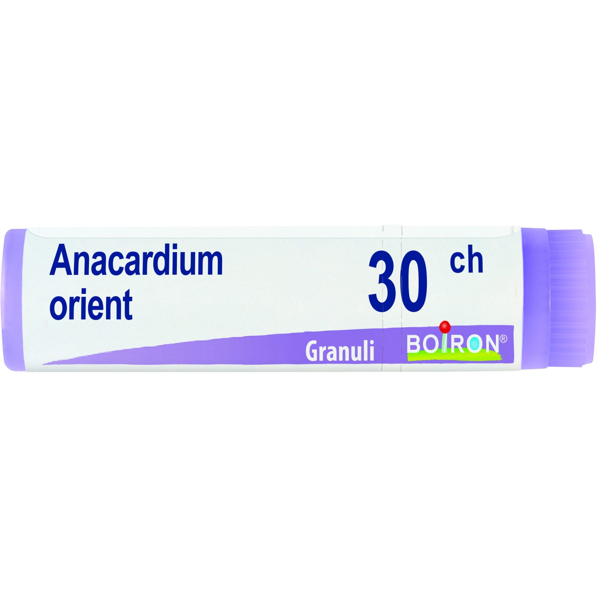 Boiron Anacardium Orientale Globuli 30Ch Dose 1g-1