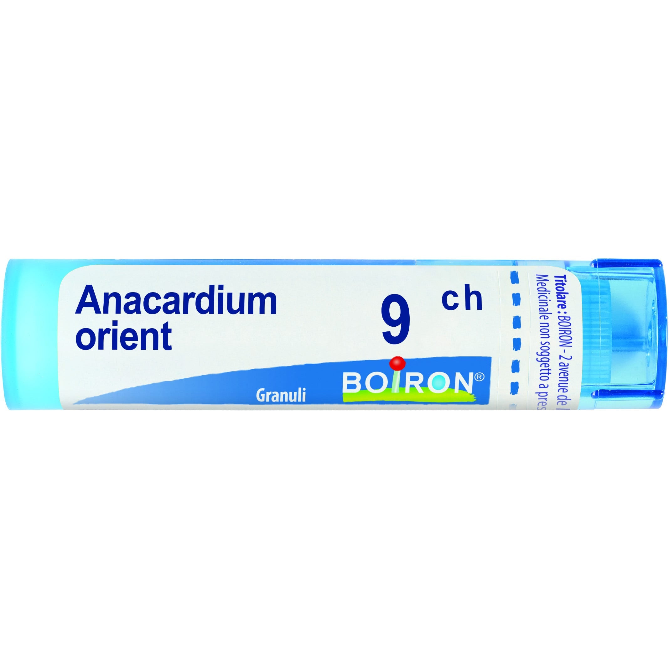 Boiron Anacardium Orientale 09Ch Tubo Granuli 4g-1