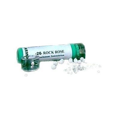 Armonic 26 Rock Rose 70gr-1