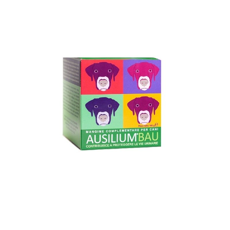 Ausilium Bau 100g-1