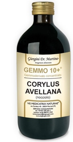 NOCCIOLO 500ML ANALCO GEM 10+-1