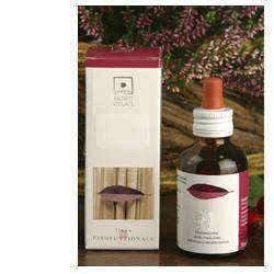 RUBUS IDAEUS 50ML STV-1