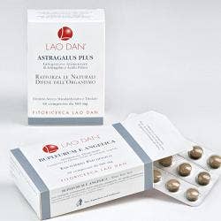 GINSENG SCHISANDRA 60CPR BLIS-1