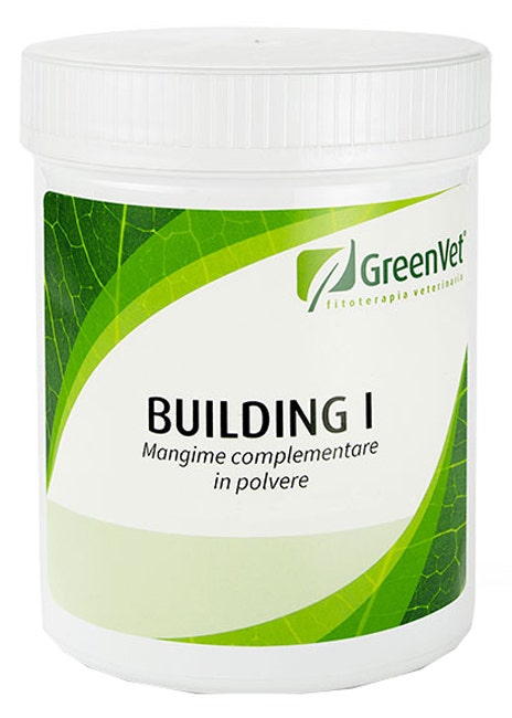 BUILDING I 500G-1