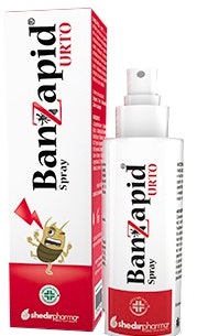 Banzapid Spray Trattamento 100ml-1