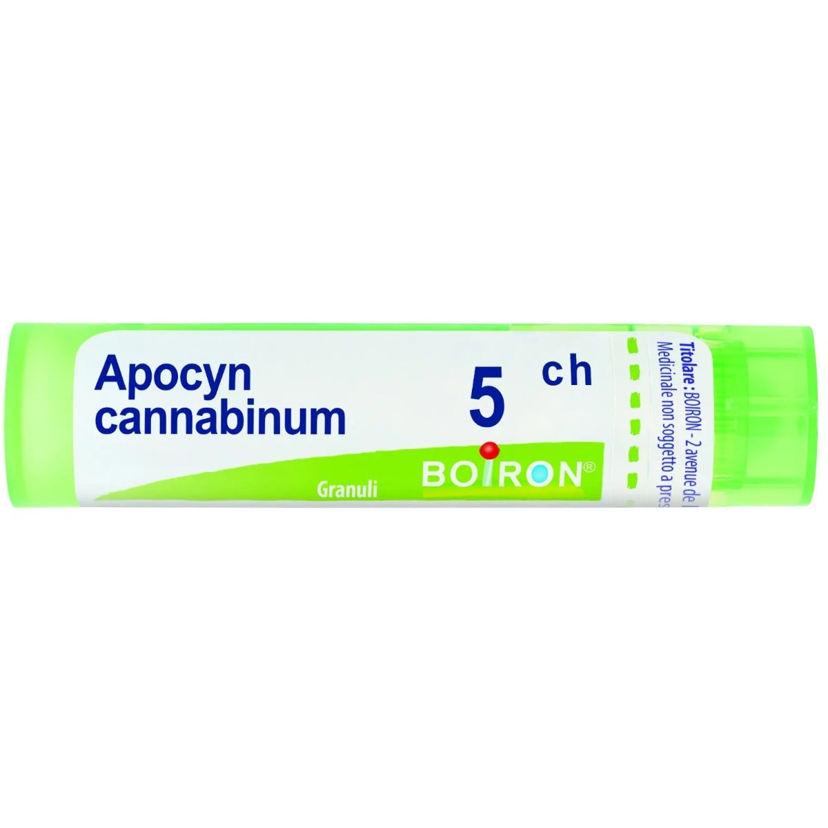 APOCYNUM CANNABINUM 5CH GR-1