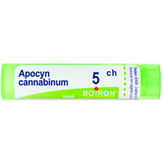 APOCYNUM CANNABINUM 5CH GR-1