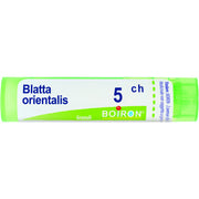 Boiron Blatta Orientalis 05Ch Tubo Granuli 4g-1