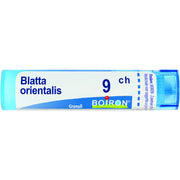 Boiron Blatta Orientalis Granuli 09Ch Tubo 4g-1